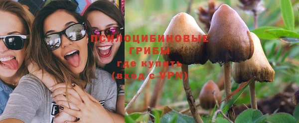 спиды Алексеевка