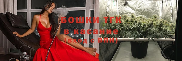 спиды Алексеевка