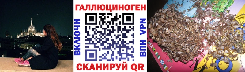 Псилоцибиновые грибы мицелий Ревда