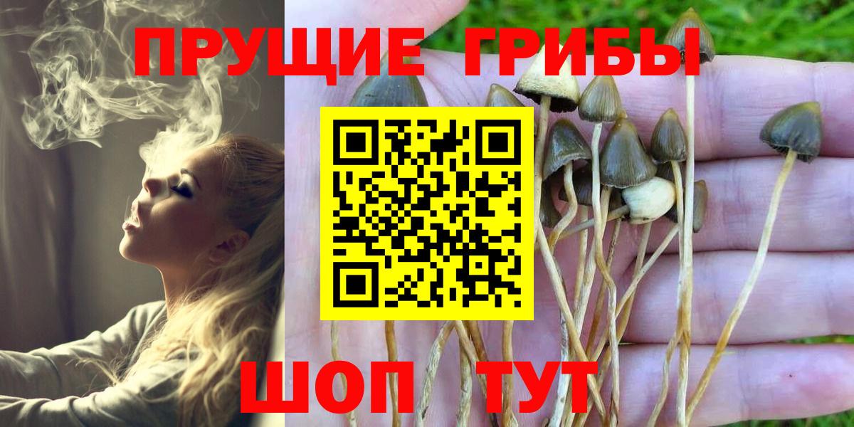 Псилоцибиновые грибы Psilocybine cubensis Ревда
