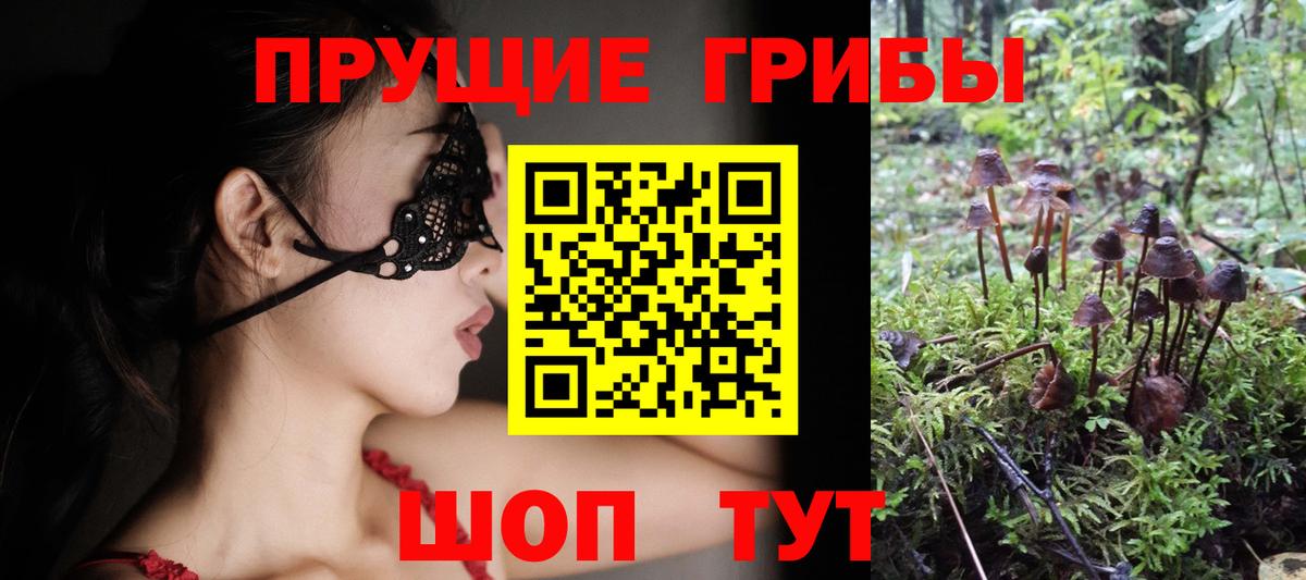 Галлюциногенные грибы Psilocybe  Вход с VPN  Ревда  Галлюциногенные грибы Cubensis 