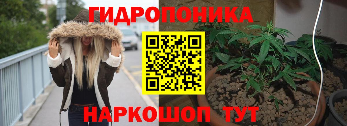 Шишки марихуана THC 21%  Бошки Шишки Amnesia  Вход с VPN  Ревда  Каннабис Amnesia 